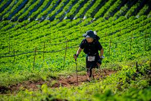 BIB: 
                            <button type="button" onclick="openModal(19161421)" class="btn btn-primary btn-sm float-right btn-popup" data-toggle="modal" data-target=".modal-high-quality">
                        <i class="fas fa-shopping-cart"></i> Add to Cart
                    </button>
                                            <button type="button" onclick="isThisMe(19161421, true)" class="btn btn-success btn-sm float-right btn-popup btn-isme hidden" data-toggle="tooltip" data-placement="bottom" title="นี่คือรูปของคุณใช่ไหม คลิกที่นี่เพื่อเอาเข้าอัลบั้ม">
                        <i class="fas fa-plus"></i> Add to album
                    </button>
                    <button type="button" onclick="isThisMe(19161421, false)" class="btn btn-warning btn-sm float-right btn-popup btn-isnotme hidden">
                        <i class="fas fa-ban"></i> Remove from album
                    </button>